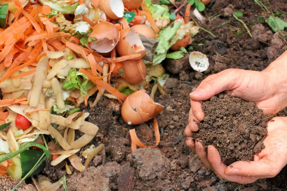 Pair of hands holding compost above pile of soil and food scraps.
